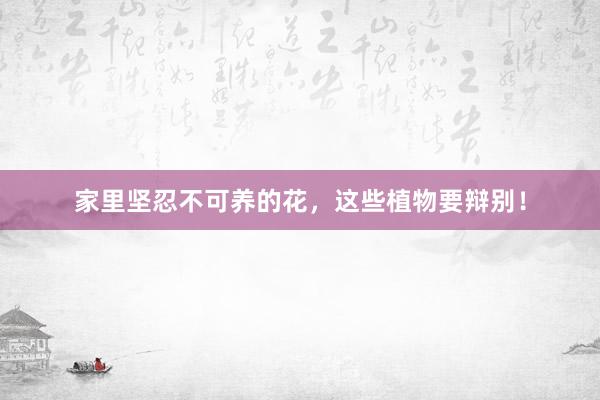家里坚忍不可养的花，这些植物要辩别！
